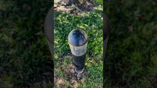 The Art of Noticing | How I See My World