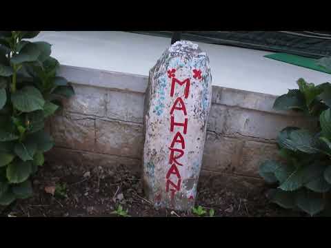 Tatva Bir Camp and Resort Bir Billing Himachal Pradesh