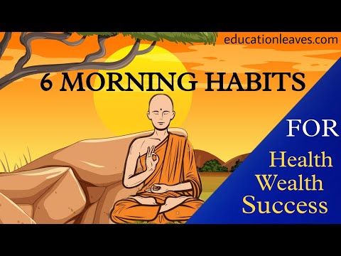6 Most Effective Morning Habits for Health Wealth and Success -2024