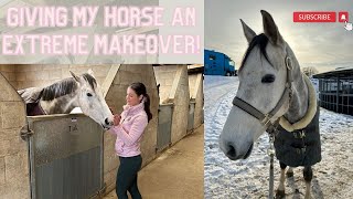 GIVING MY YOUNG HORSE A MAKEOVER AND TRANSFORMATION