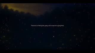 Web interaction project - Firefly,_Flashing