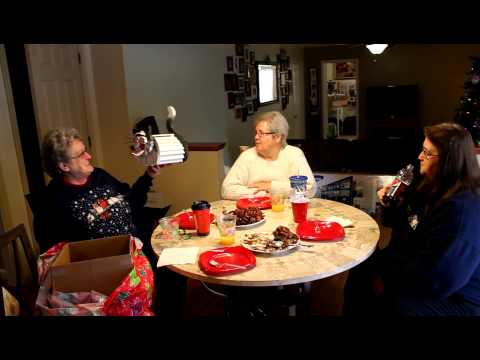 Cat Birdhouse - Christmas morning