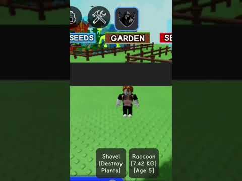 #growagarden #roblox #fyp #roblox