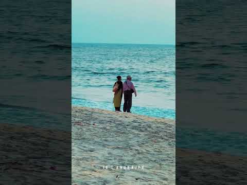 Relationship ചിരികളോടെ പങ്കുവയ്ക്കുന്ന സ്നേഹം #ownvoice #statusvideo #LoveInEveryLanguage