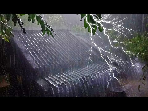 Goodbye Insomnia with Heavy Rain🌂 Thunder Growls on a Stale Tin Roof in Foggy Murky Forest at Night