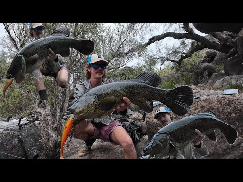 Murray cod fishing Australia.