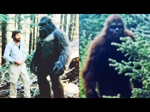 This Mountain Man’s “Impossible” Bigfoot Friendship Made His Cabin Untouchable - Sasquatch Story