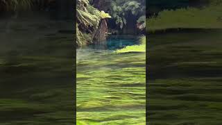 Beautiful Lakeside view | Stunning World | #tiktok #tiktokviral #lifestyle #earth #landscape #lake