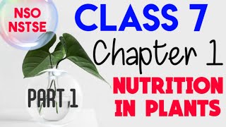 Class 7, Chapter 1 - NUTRITION IN PLANTS | NSO AND NSTSE |
