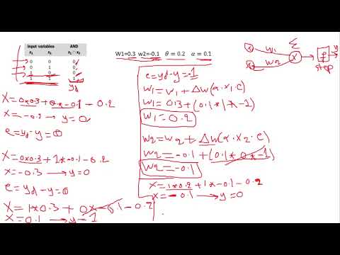 percepton المحاضرة الثانية