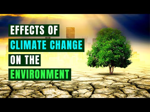 The Devastating Effects of Climate Change on Our Planet