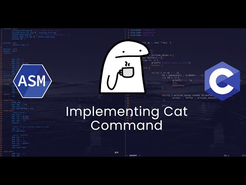 Build Your Own CAT Command from Scratch in C & Assembly (Step by Step)