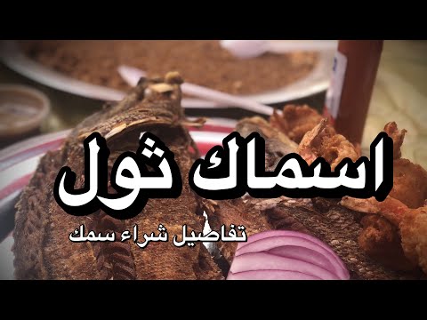 سمك ثول مافي زيو