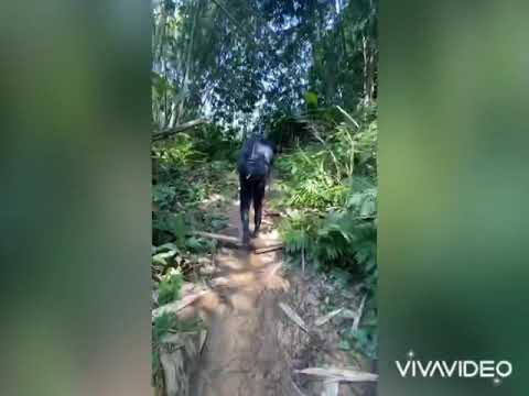 Hiking Experience
