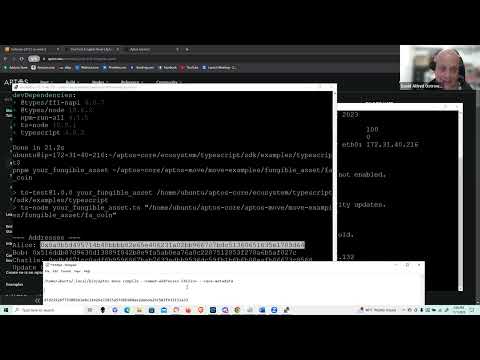Aptos Blockchain, Move Programming: "First Fungible Asset" demo using TypeScript with AWS/ EC2