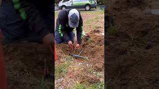 Installing a new irrigation system💦 #irrigation #sprinklers #sprinklersystem #lawncare #landscaping