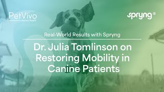 Real-World Results with Spryng: Dr. Julia Tomlinson on Restoring Mobility in Canine Patients
