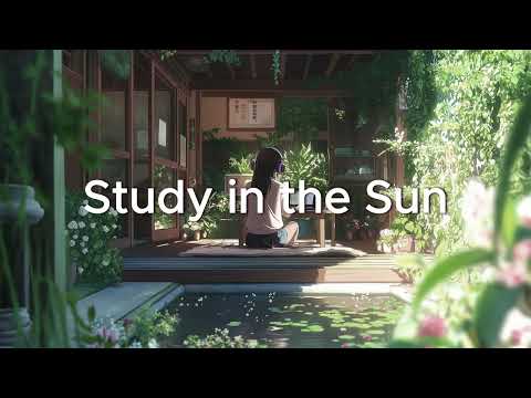 Focused Terrace Study Session in the Sun - Chill Hip Hop Lofi Beats for Studying, Coding, Relaxing
