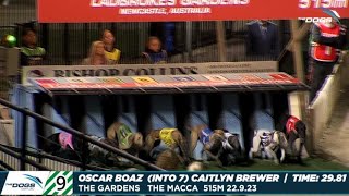 The Macca - Oscar Boaz