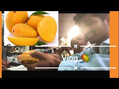 || RAM ram 🙏🙏|| aam ka vlog 🥭 || bhai ko Pareshn kiya aam se || comedi mim || #cartoon  | THE kidd