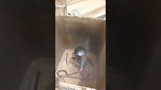 Flushing the unit. #hvacsolutions #hvac #viralreels #reelsvideo #trendingreels #shorts #ac #carrier