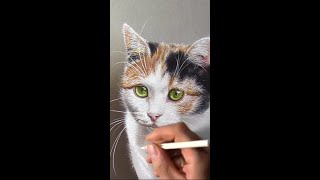 Cat drawing 😍 by Marcello Barenghi