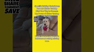 Click Your Way to Success: The Power of Clicker Training for Dogs Discover the magic of clicker trai