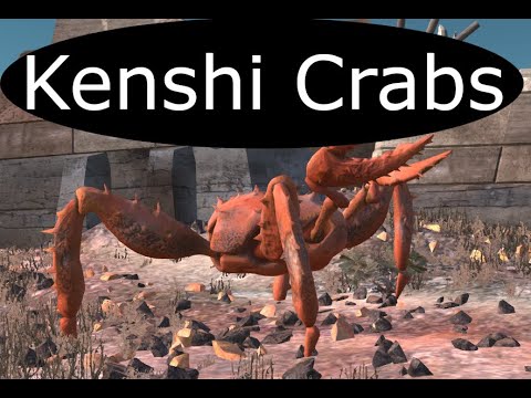 Kenshi Lore 8 Crab Raiders and Skeleton Bandits