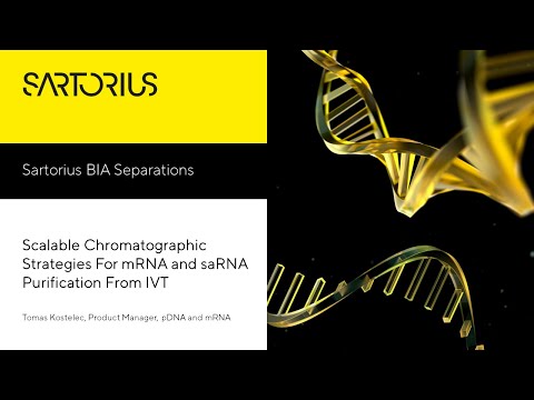 Scalable chromatographic strategies for mRNA and saRNA purification from IVT