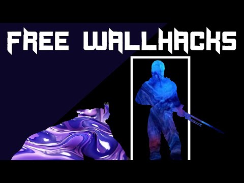 HOW TO MAKE CS2 WALLHACK - External Box ESP Cheat Tutorial