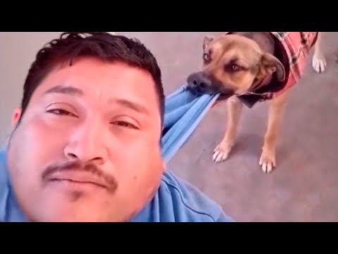 you win if you don't laugh v2