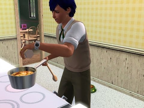 닭고기 애완동물 식품 만드는 젤리