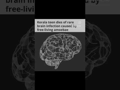 news from kerala #news #keralanews #braineatingameoba #facts #knowledge