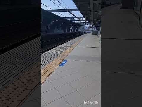 直通特急阪神・大阪梅田行き通過(鳴尾・武庫川女子大前駅)