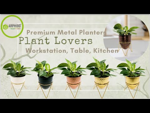 ARPHIBO Premium Metal Planters for Indoor Gardening  #homedecor #metalplanter #arphibo #indoorgarden