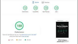 GTmetrix vs Google vs The Perfect Website - Page Speed Insights Testing