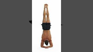 How to Forearm Stand #calisthenics #yoga