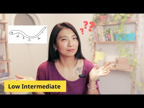 A Chinese idiom story - Beginner (HSK2/3)