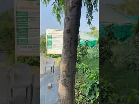 #horticulture #rvskvv #gwalior #agriculture #minivlog #farming