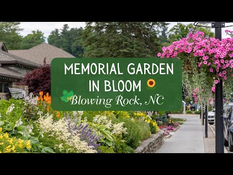 Memorial Garden in Bloom 🌻 - Blowing Rock, North Carolina