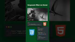 Black & White to Color  Pure CSS Magic #CSSMagic #WebDevTips #HoverEffect #FrontendFun  #devforall