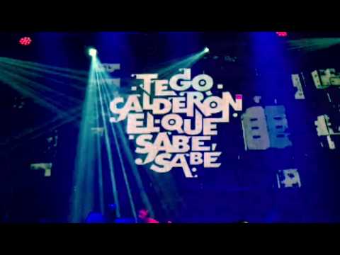 Performing Live TEGO CALDERON at the NYC Reggaeton Fest