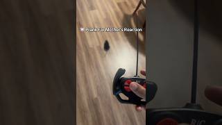 Mouse prank for mother’s reaction…🐭 (do more??) #fyp #shorts #viral #foryou #trending #viral
