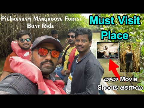 Hyderabad to Pondicherry Trip | Pichavaram Mangroove Forest