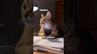 Secret Messaging!