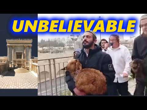 Something UNBELIEVABLE is happening on Passover in Jerusalem - Third Temple Update