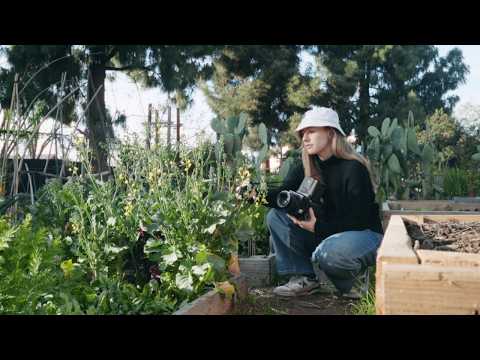 mamiya rb67 🌱 🎞️ slow film photography in the garden