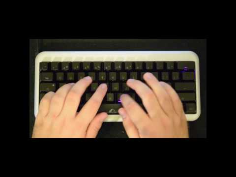 Ducky Mini Year of the Horse - Typing Test