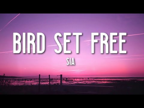 Bird Set Free - Sia (Lyrics) 🎵