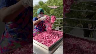 Paneer Rose la Soap ah..!😱😍 #theparambariyam #9042172818 #paneerrosesoap
